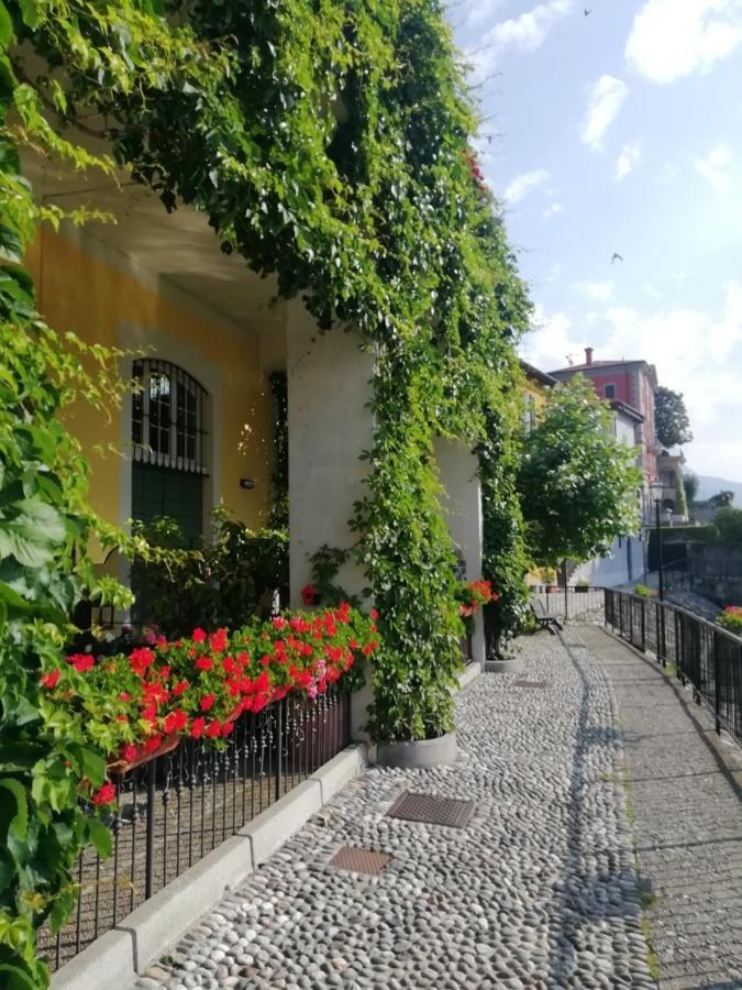 Viewtiful Homestay Stazzona Extérieur photo