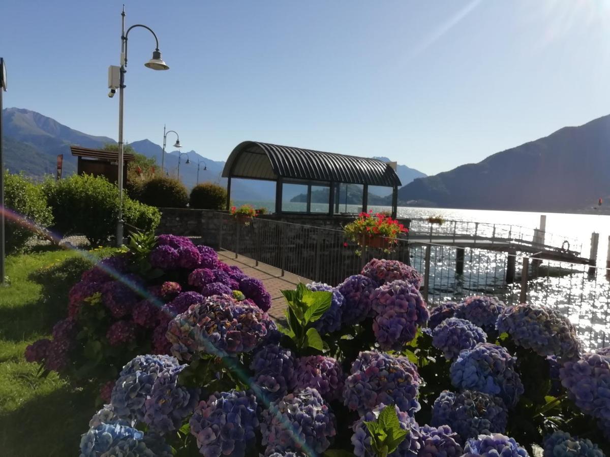 Viewtiful Homestay Stazzona Extérieur photo