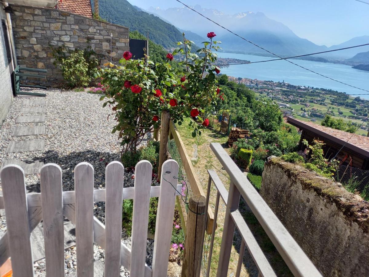 Viewtiful Homestay Stazzona Extérieur photo