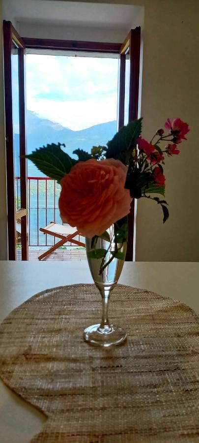 Viewtiful Homestay Stazzona Extérieur photo
